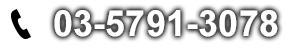 03-5791-3078